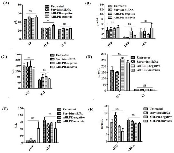 Antibody, polypeptide and nucleic acid combination therapy targeting carrier and its preparation method and application