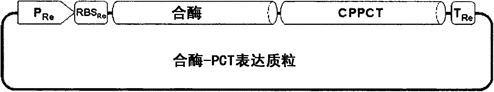 Copolymer comprising 4-hydroxybutyrate unit and lactate unit and its manufacturing method