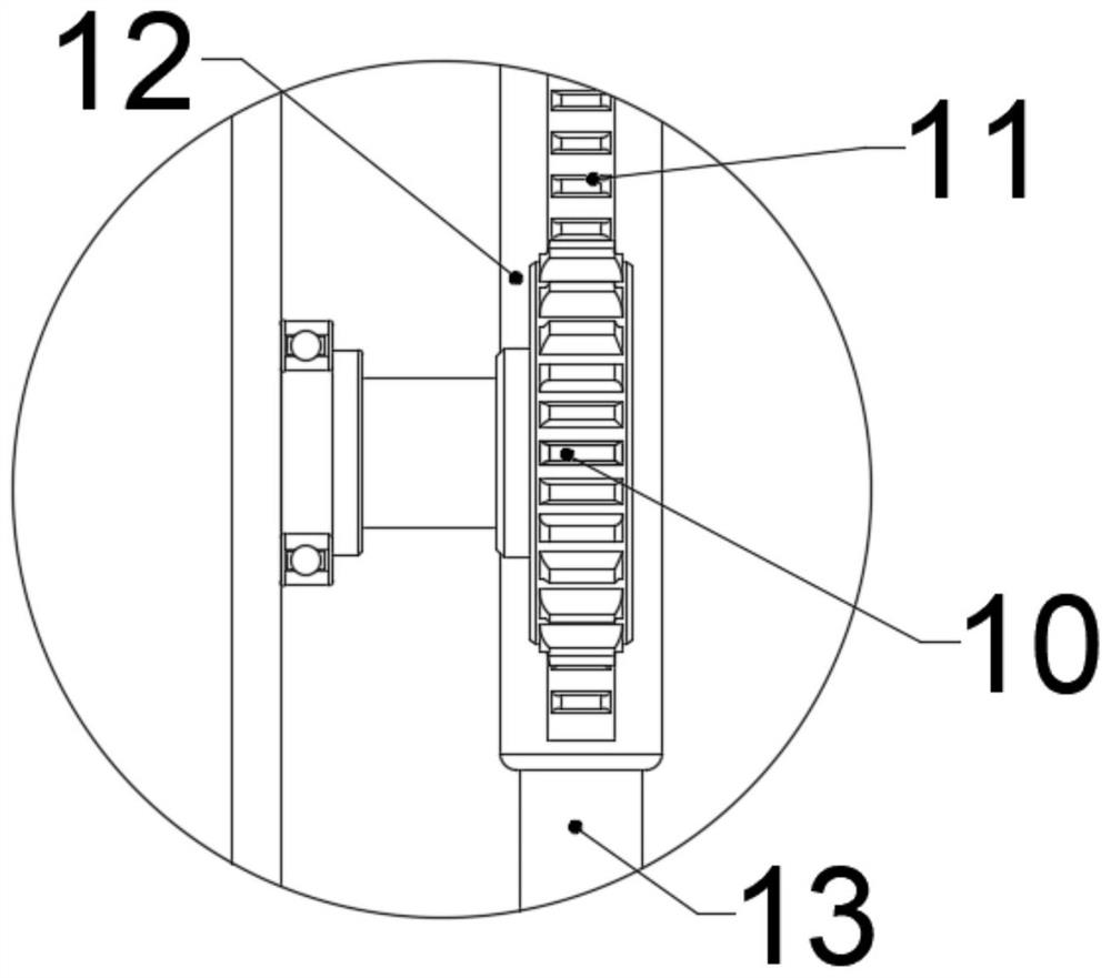 Adjustable bed body structure for ultrasonic examination