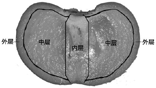 Fresh-keeping method for delaying softening of persimmon fruits through microwave heat shock