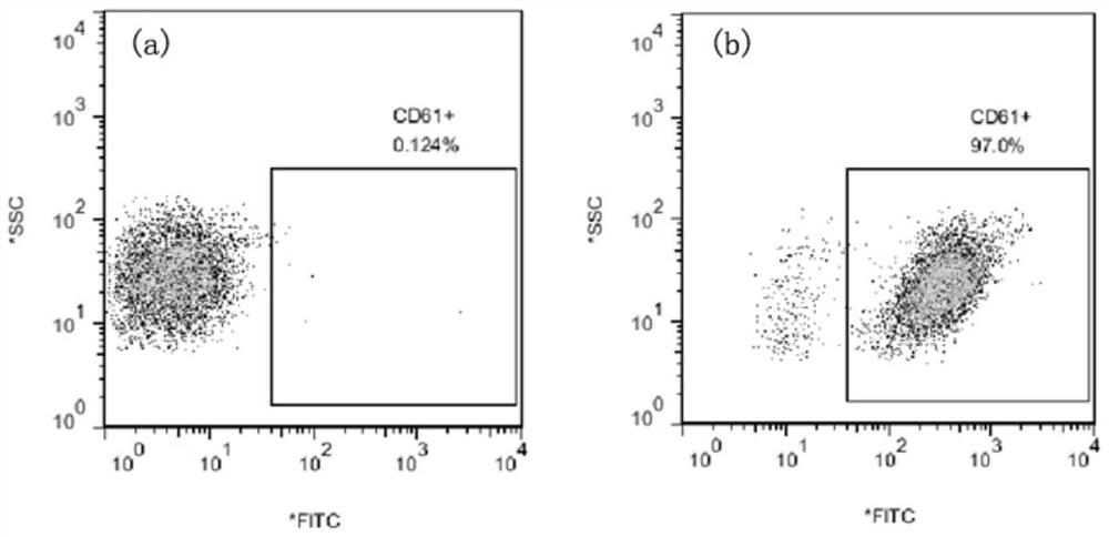 Mouse anti-human cd61 monoclonal antibody hybridoma cell line, monoclonal antibody and its preparation method and application, flow detection reagent