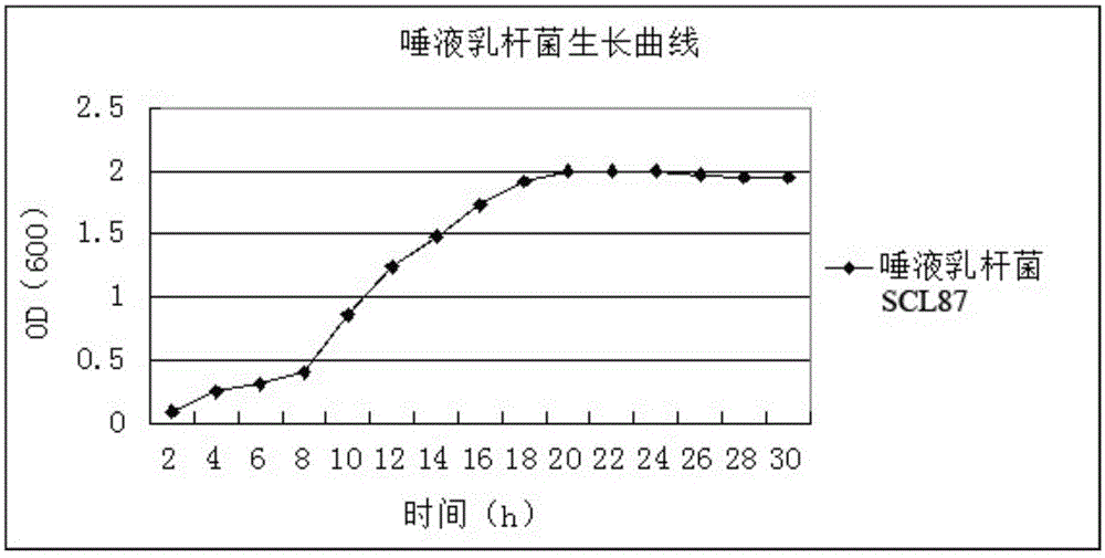 Lactobacillus salivarius for efficiently inhibiting avian pathogenic salmonella and application of lactobacillus salivarius