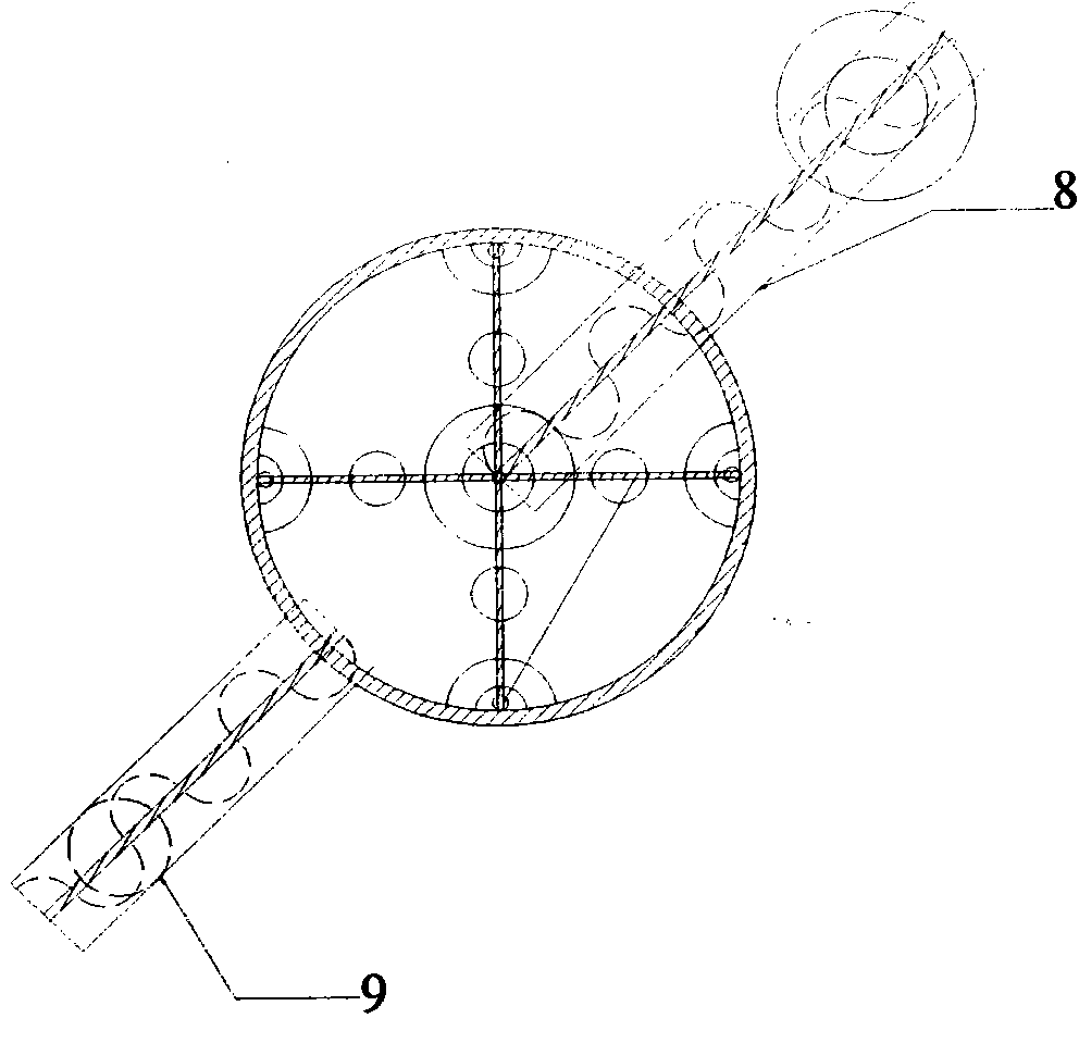 Cycling elution biomimetic peristaltic enzymolysis reactor and method thereof