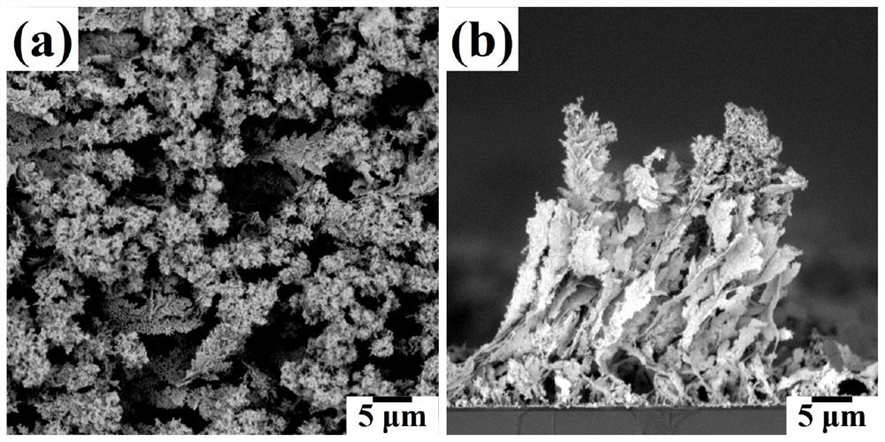 Preparation method of kelp-shaped silver structure