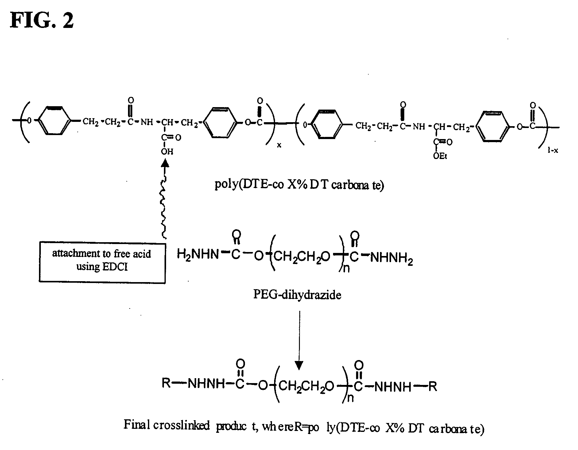 Hydrazide compounds with angiogenic activity