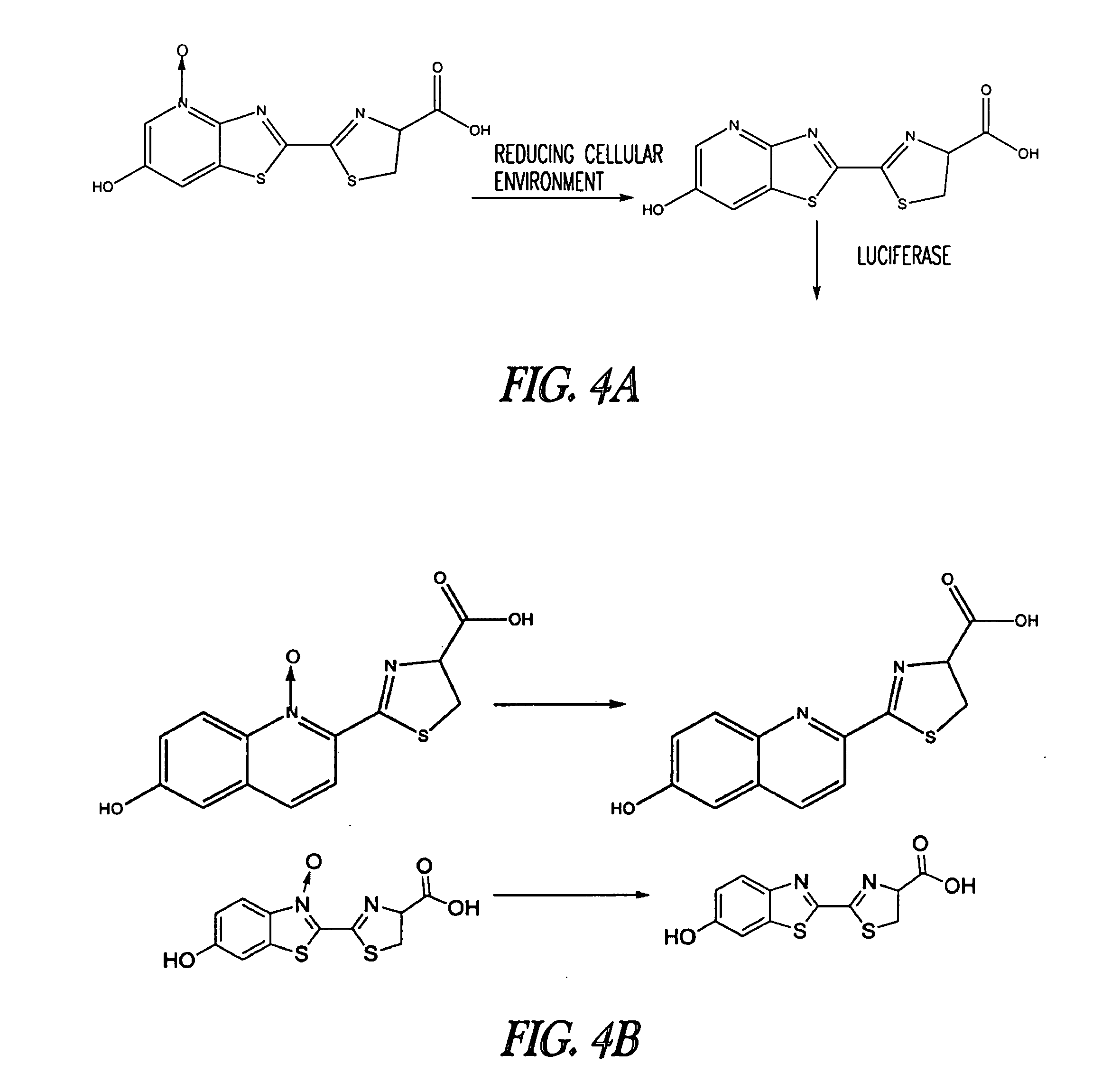 Luminogenic and fluorogenic compounds and methods to detect molecules or conditions