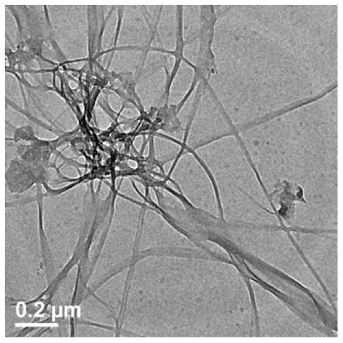 A kind of multifunctional rubber composite material containing bacterial cellulose and preparation method thereof