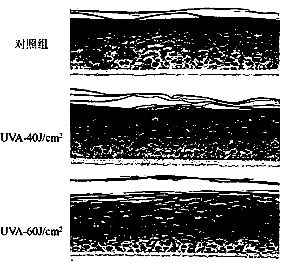 Phototoxicity detection method based on recombinant skin model