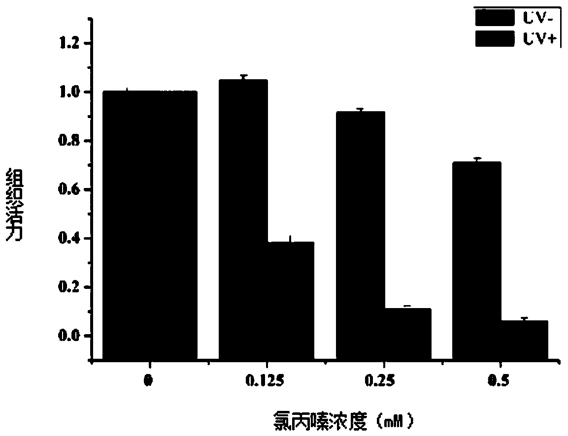 Phototoxicity detection method based on recombinant skin model