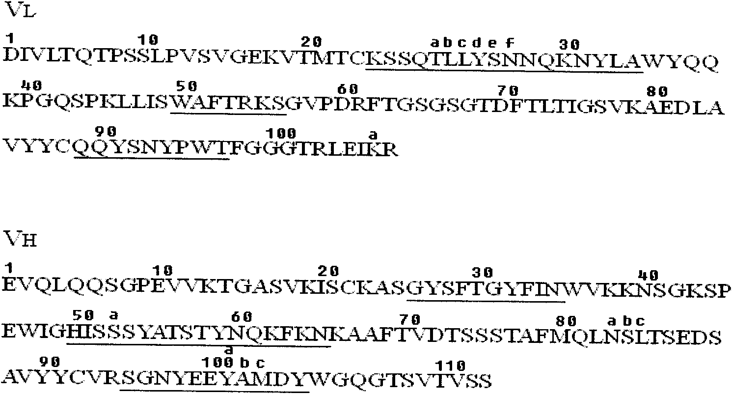 Human source antibody and humanization remolding method thereof