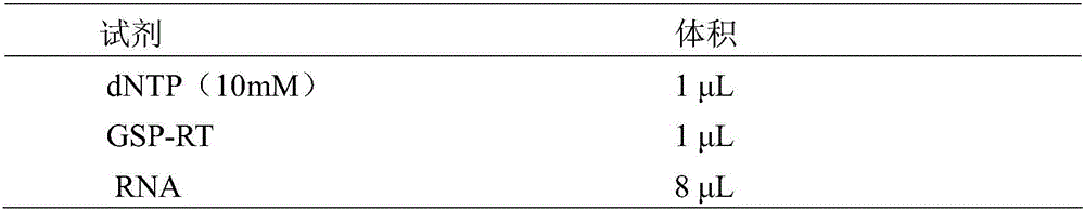 ELISA (enzyme-linked immuno sorbent assay) detection kit for analyzing residual carbaryl and application thereof