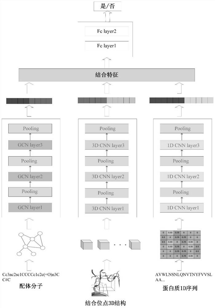 Drug-protein interaction prediction model based on convolutional neural network