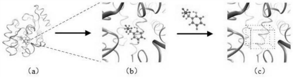 Drug-protein interaction prediction model based on convolutional neural network