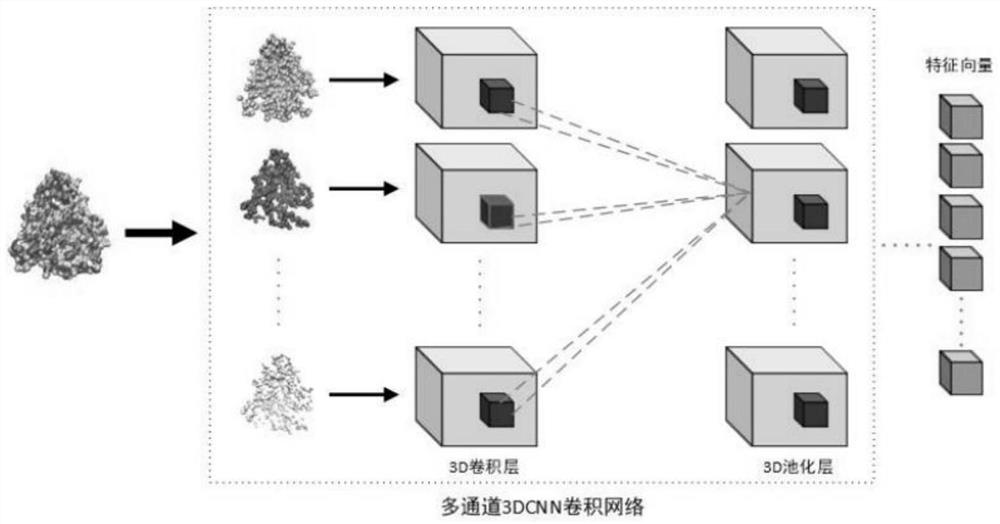 Drug-protein interaction prediction model based on convolutional neural network