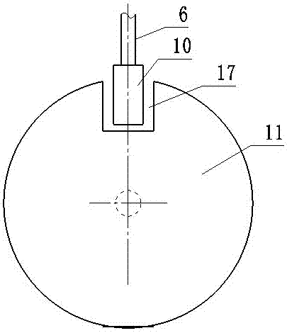 Rapid leaf transfer device for precise fresh weight determination