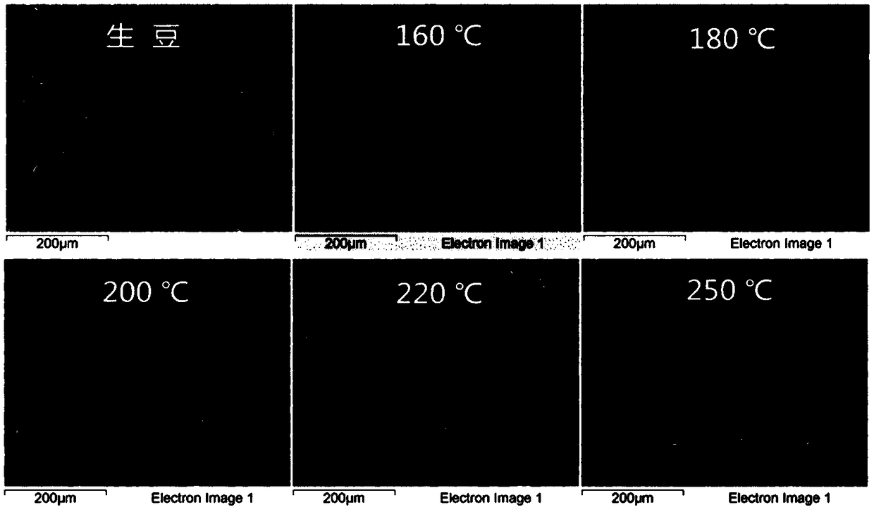 Preparation method of dehumidifying and formaldehyde-removing coffee residue air freshening bag