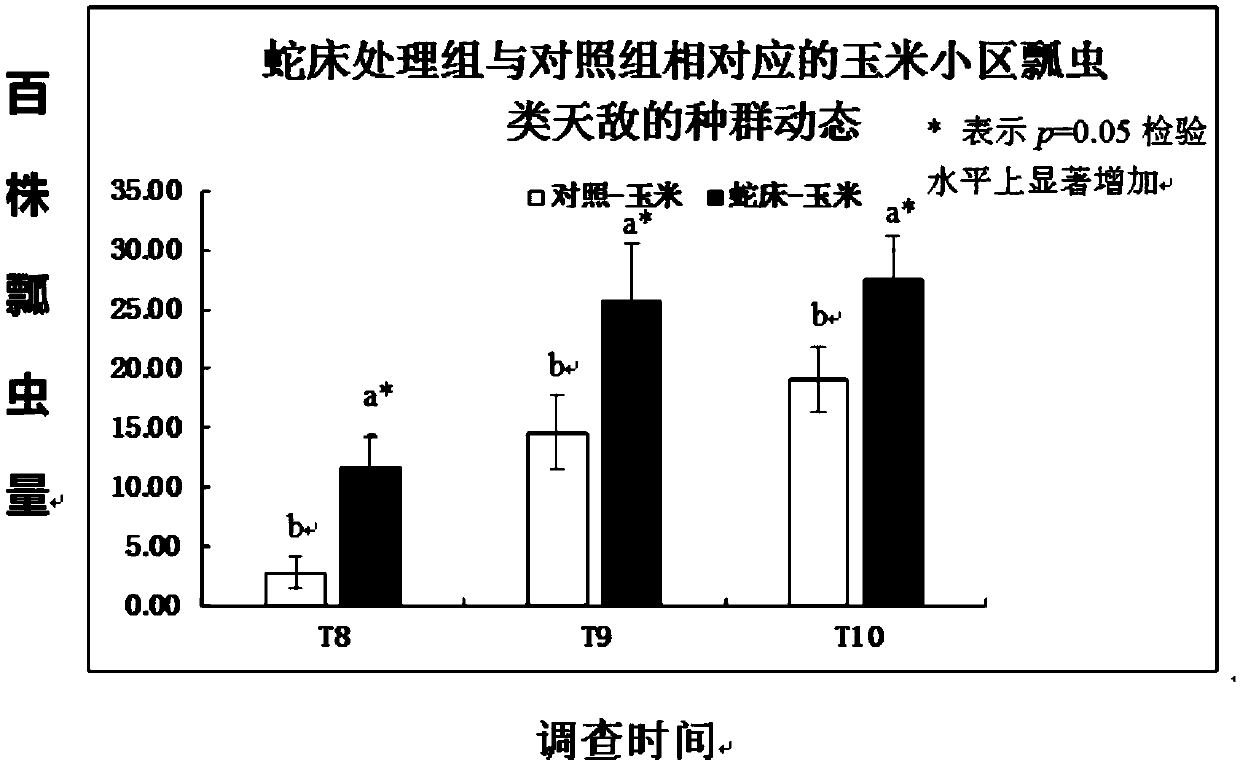 Method for assisting migration of predatory natural enemies from wheat fields to maize fields