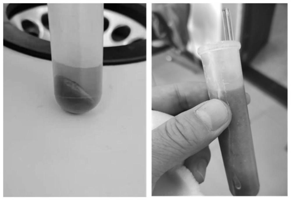 Method for purifying TaSi2 powder