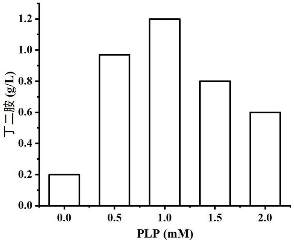 Engineering bacterium, treatment method of ornithine-containing solution and kit