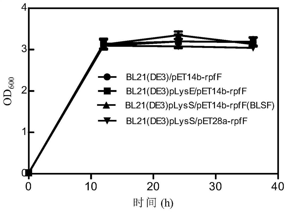 bdsf high-yield strain and its fermentation optimization method and application