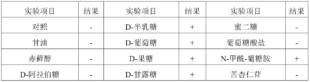 A new type of Pediococcus lactis and its application