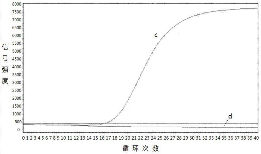 Primers, kit and pcr method for detecting d842v polymorphic site of pdgfra gene