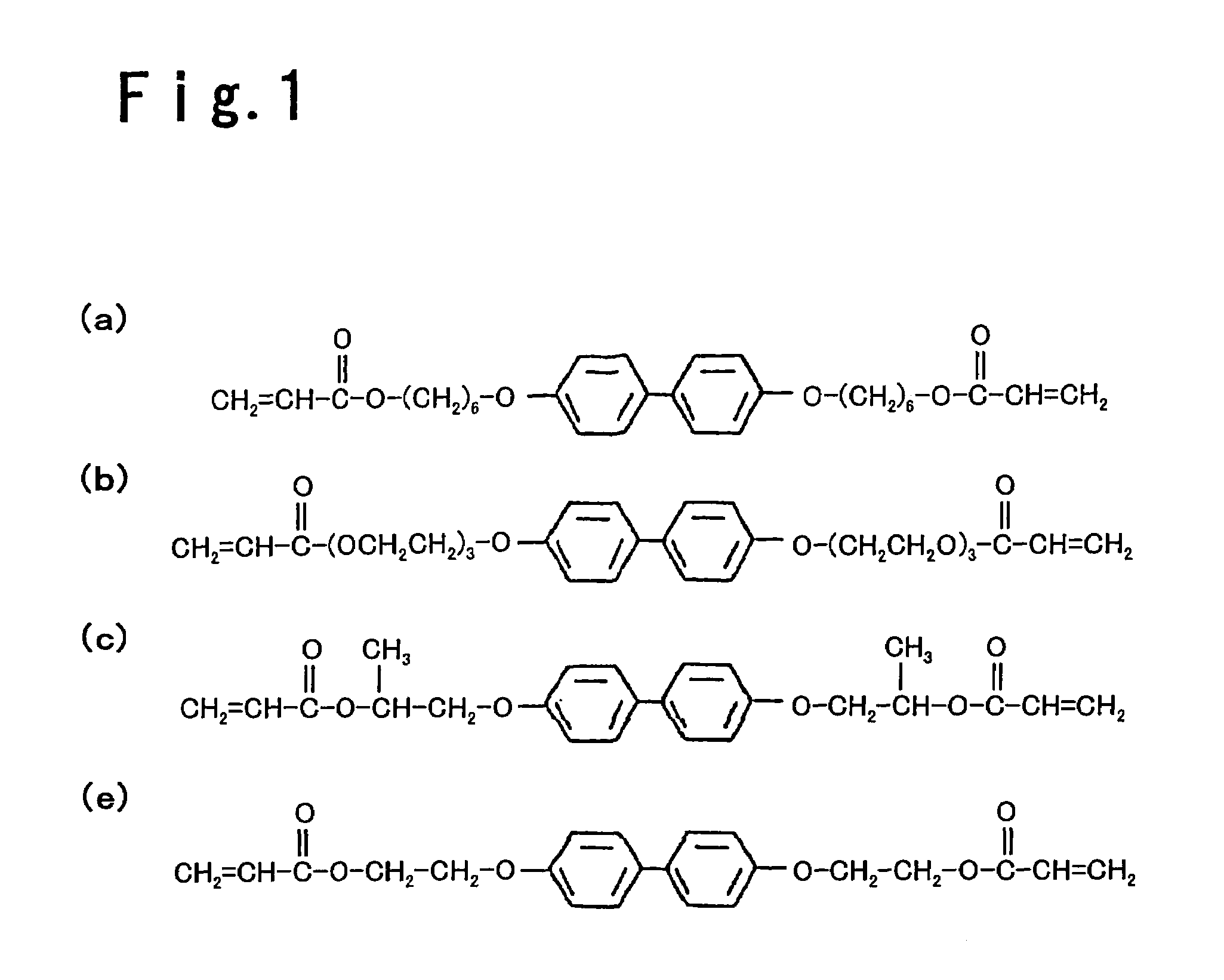 Image display system