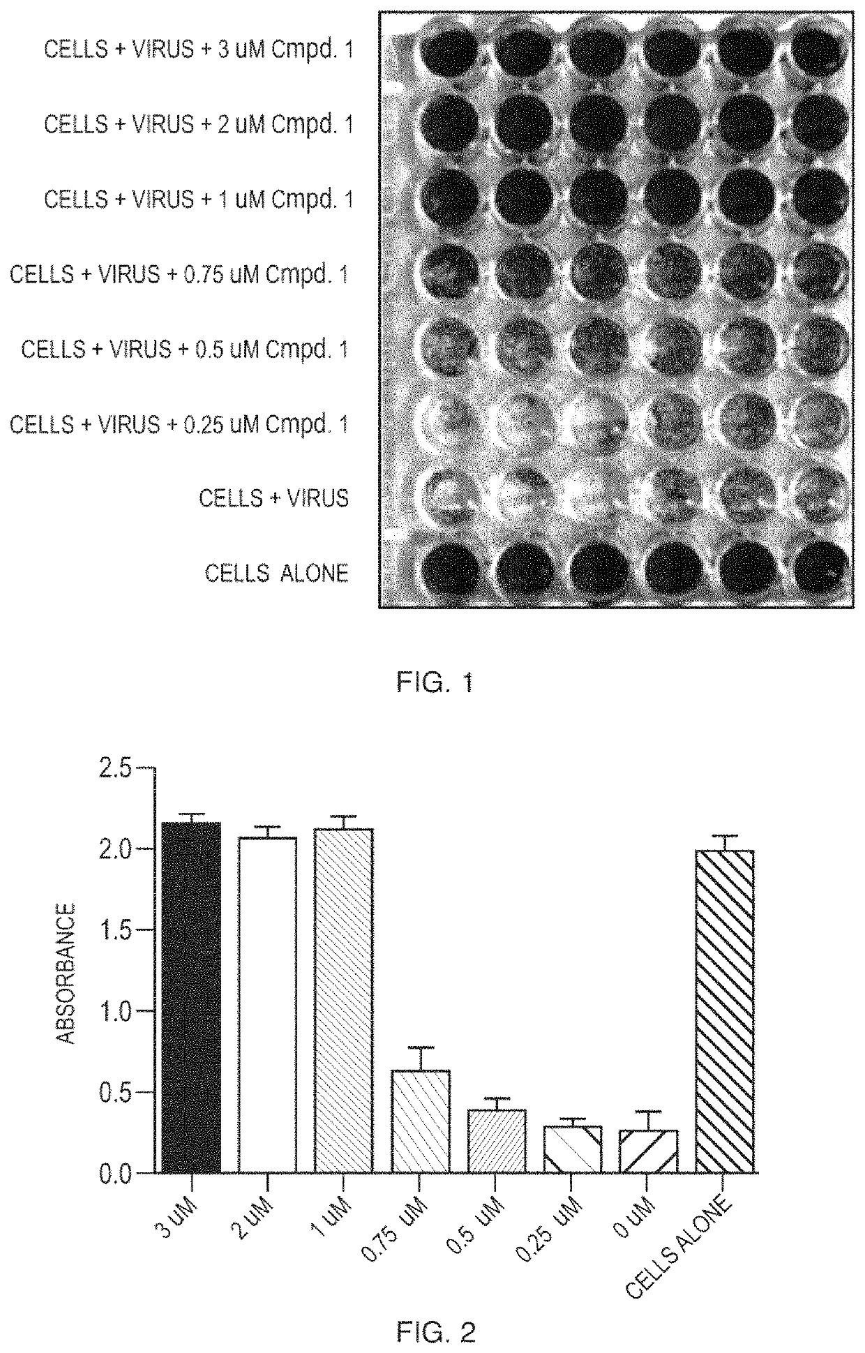 Methods of treating feline coronavirus infections