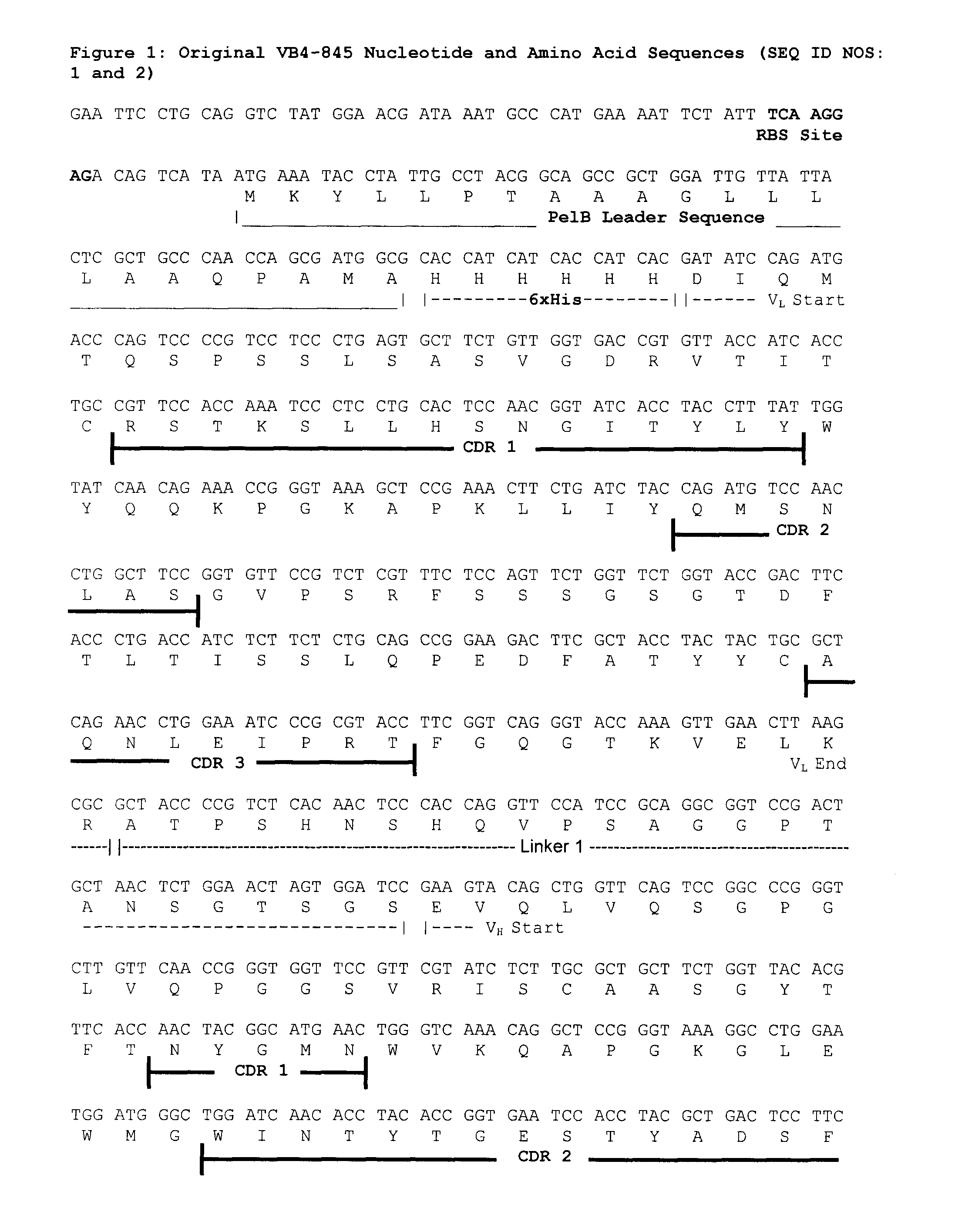 Optimized nucleic acid sequences for the expression of VB4-845