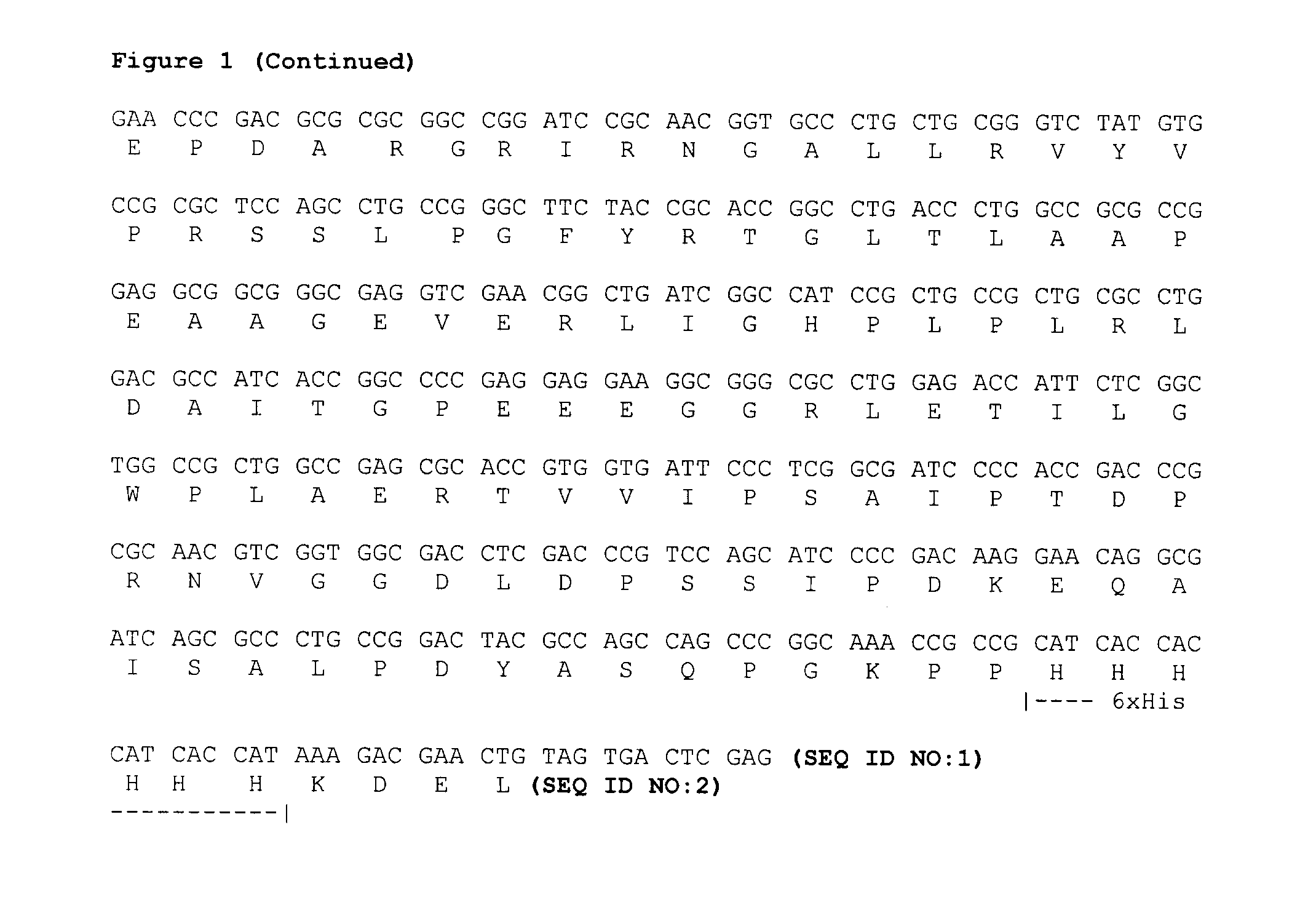 Optimized nucleic acid sequences for the expression of VB4-845