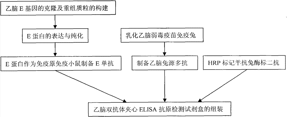 ELISA (Enzyme-Linked Immuno Sorbent Assay) kit for detecting Japanese encephalitis virus antigens in swine, human and mosquitoes and application