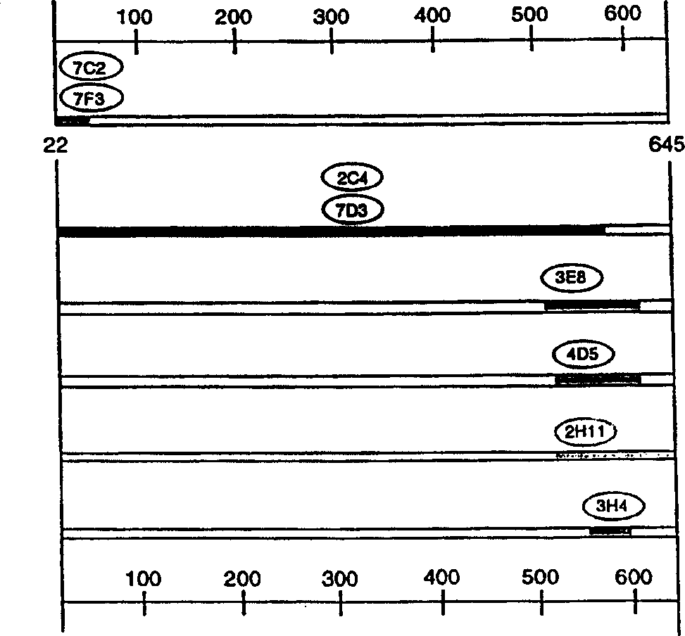 Humanized anti-ErbB2 antibodies and treatment with anti-ErbB2 antibodies