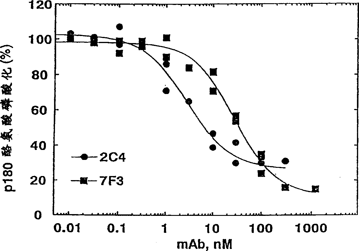 Humanized anti-ErbB2 antibodies and treatment with anti-ErbB2 antibodies