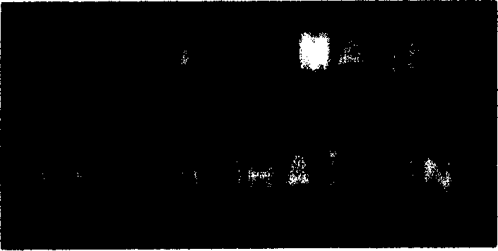 Improved NAS RIF blind image recovery method