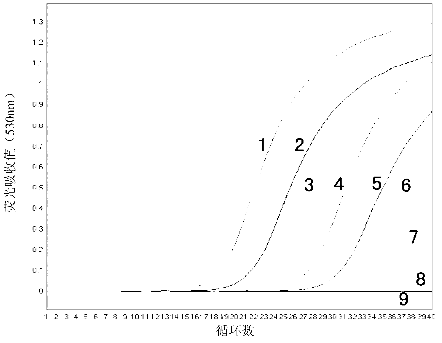 Avian pneumovirus Taqman probe fluorescent quantitative RT-PCR detection kit