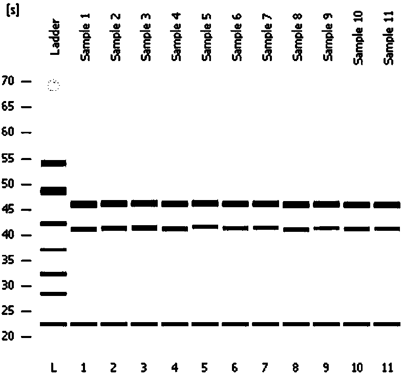 Method for constructing full-length transcription factor yeast two-hybrid library