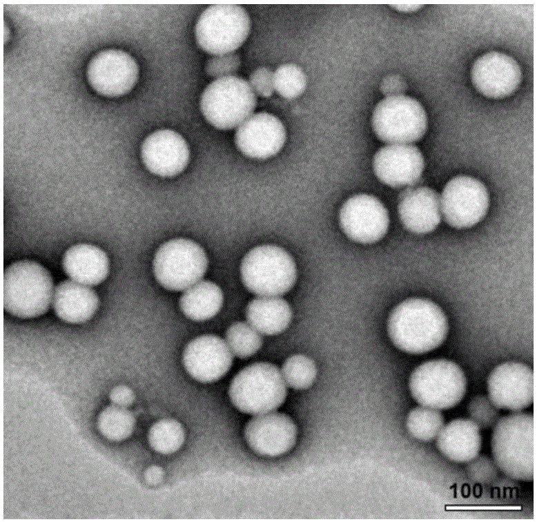 Reductively-responsive paclitaxel prodrug and preparation method for nano-micelle carrier