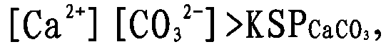 Preparation of a descaling and antiscaling agent for ash removal water system