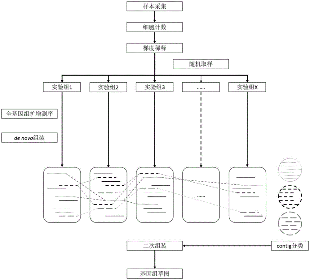 Method for constructing environmental microbial genome draft