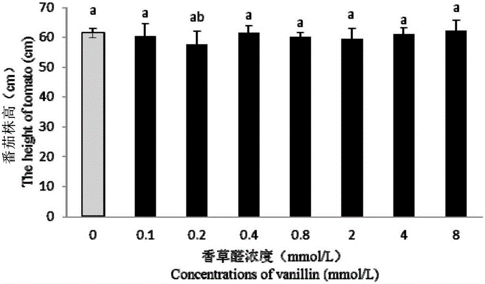 Application method for applying vanilline under soil conditions to prevent and treat meloidogyne incognita chitwood