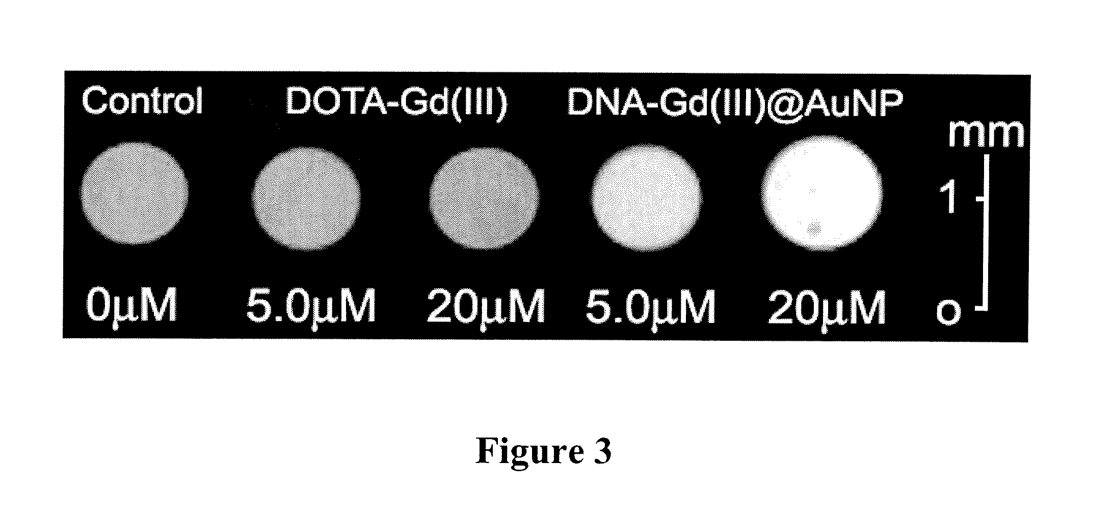 Intracellular Delivery of Contrast Agents with Functionalized Nanoparticles