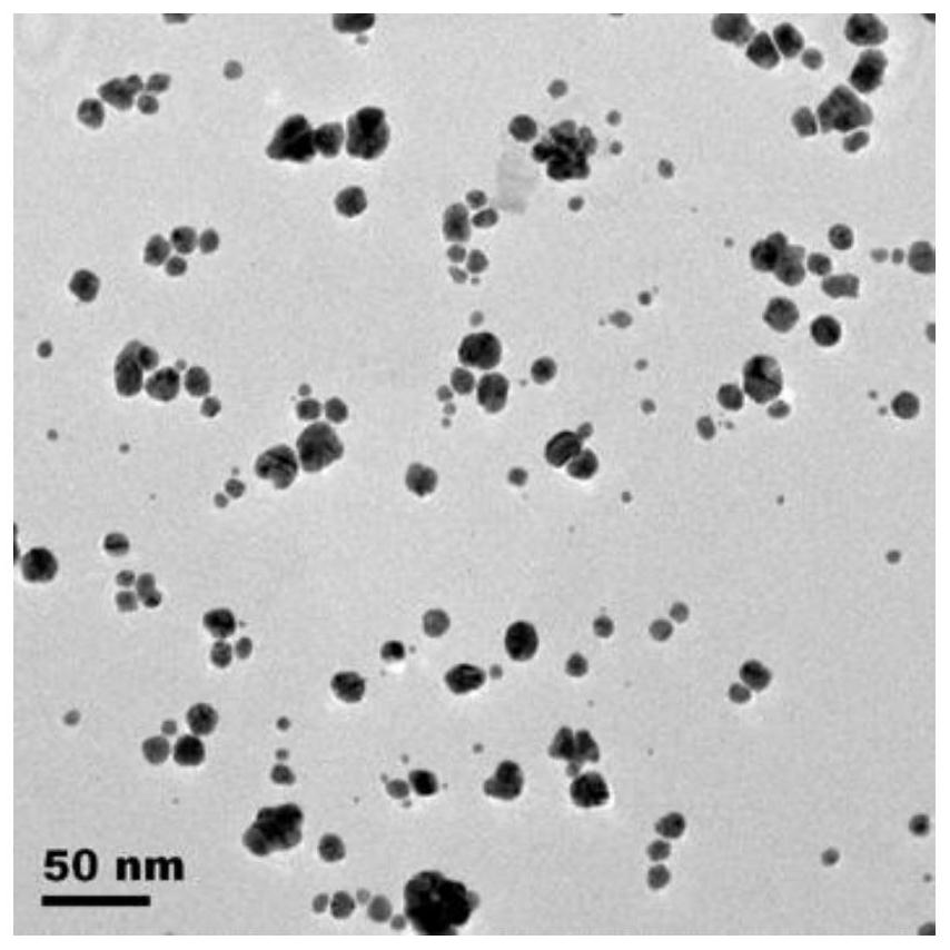 Method for preparing chain-link-shaped gold nanowire through electrochemical method