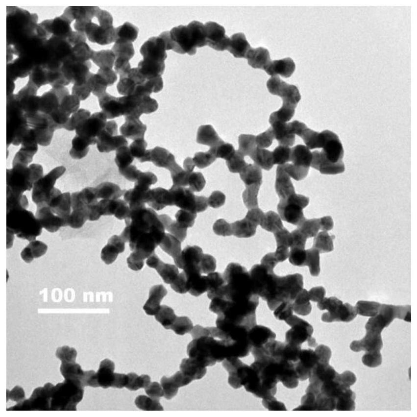 Method for preparing chain-link-shaped gold nanowire through electrochemical method