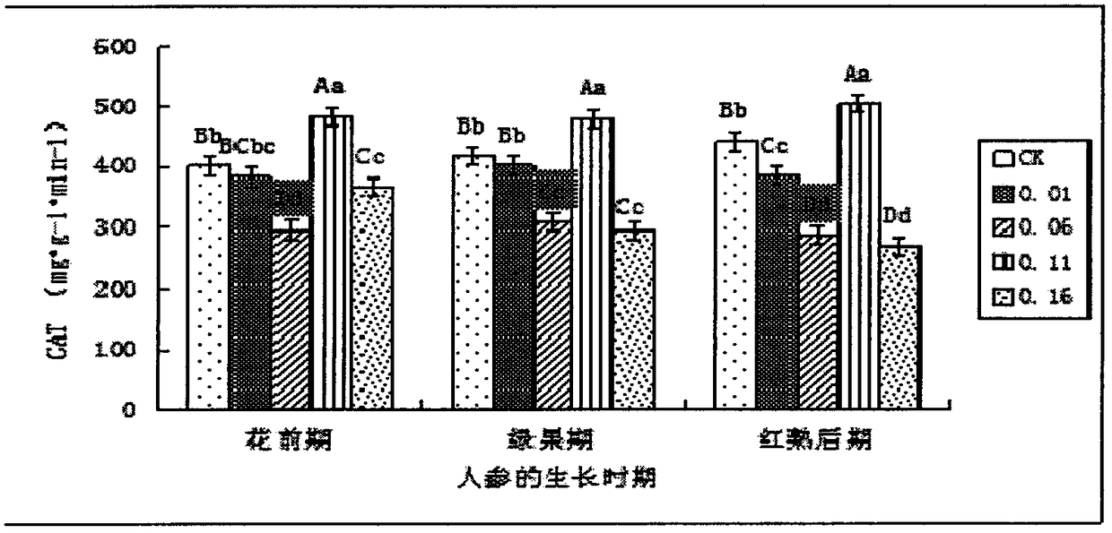 Method for increasing yield of ginseng