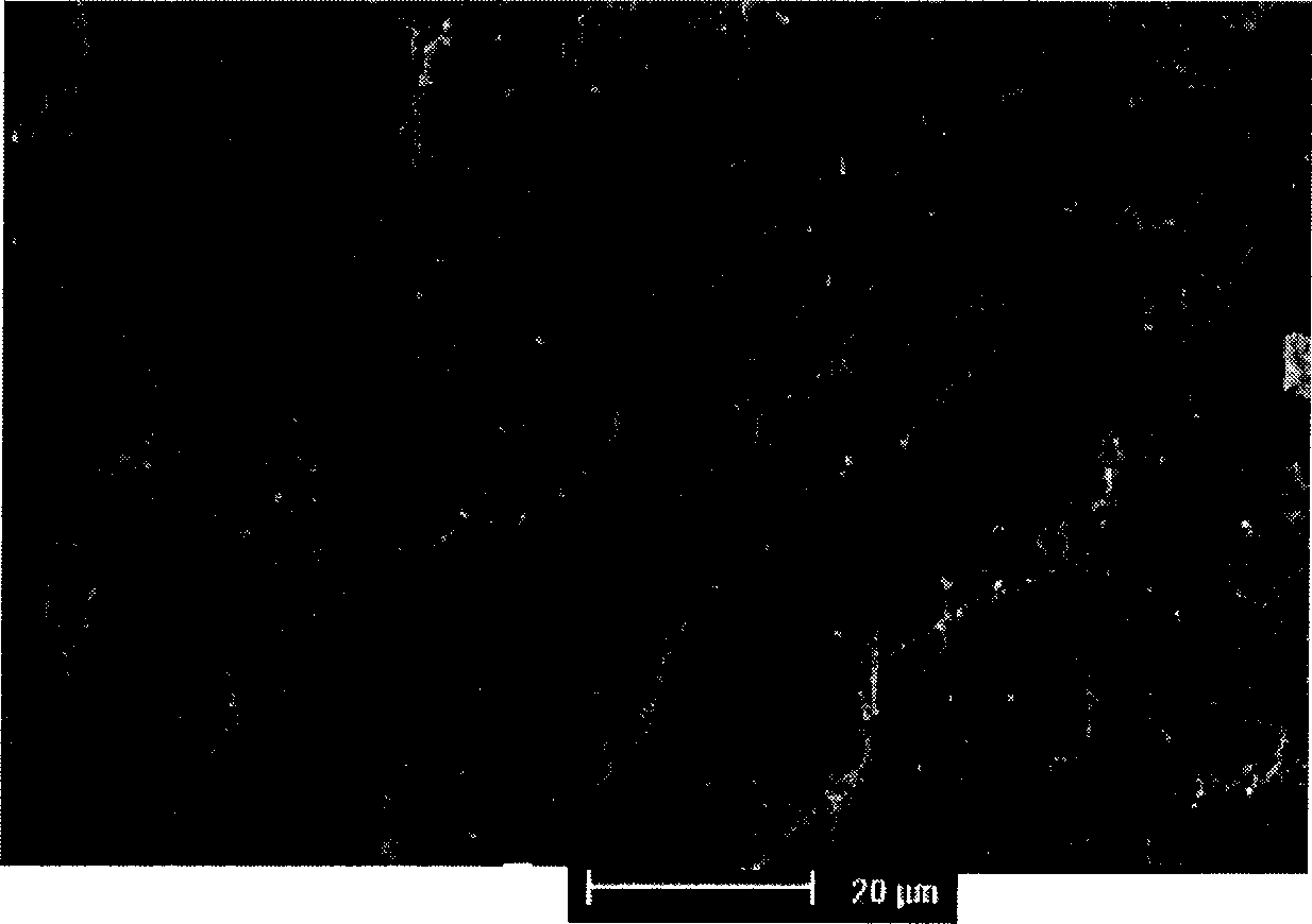 Composite absorption material for removing arsenic from water and its prepn. method