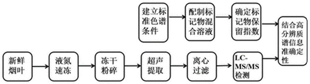 Establishment of liquid chromatographic retention index and application of establishment to compound qualitative aspect