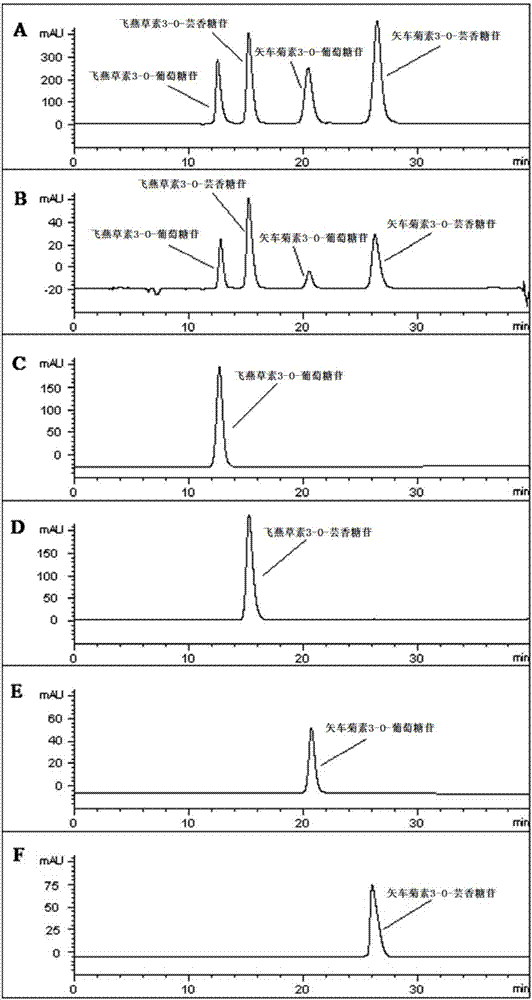 Method for extracting, separating and purifying four main anthocyanins from blackcurrant residue