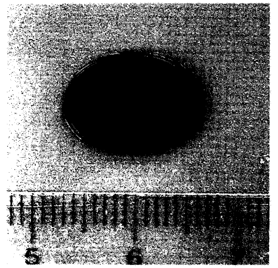 Preparation and purpose of MMP response type nanometer adriamycin-indocyanine green carrying hydrogel