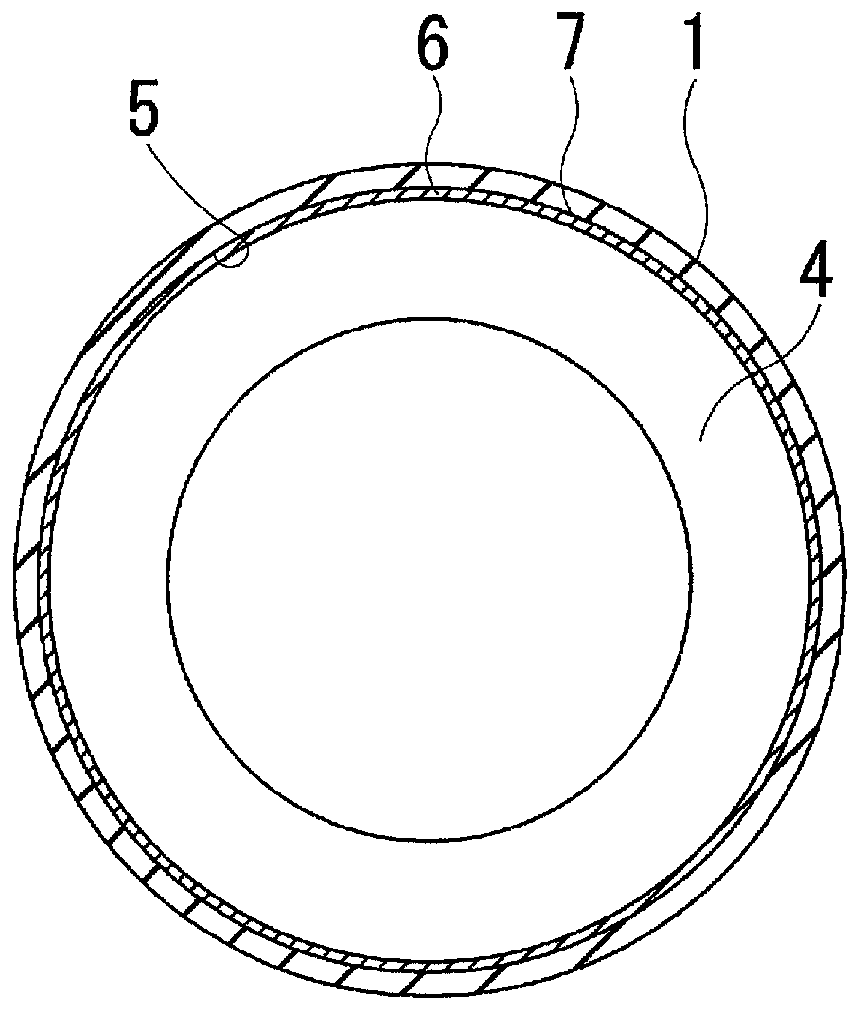 Pneumatic tire and method for producing same