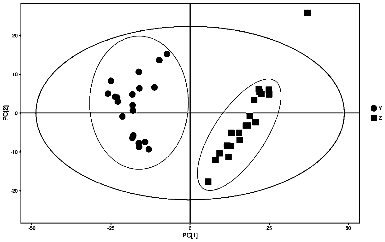 Method for identifying apis cerana honey and apis mellifera honey